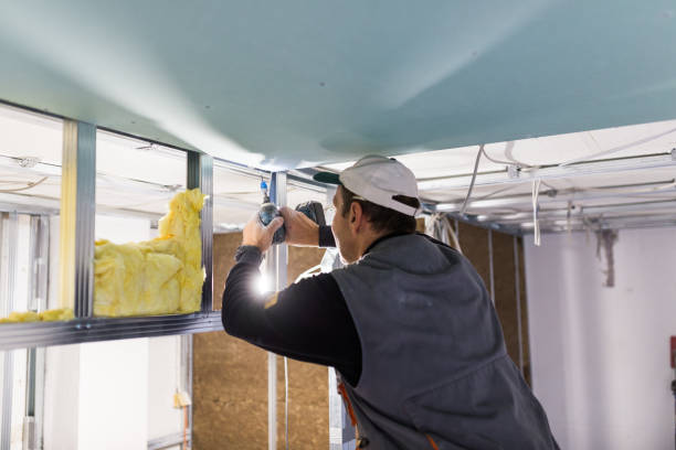 Best Commercial Insulation in Palo Cedro, CA